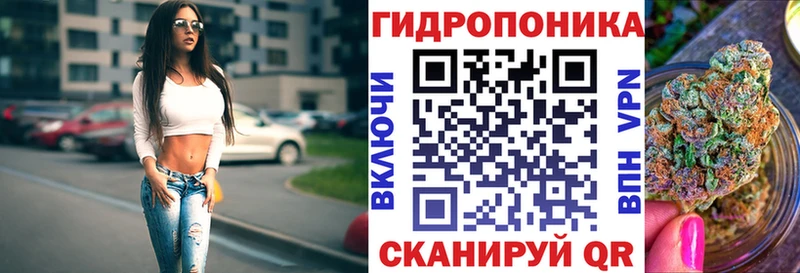 Шишки марихуана OG Kush  наркошоп  Южа 